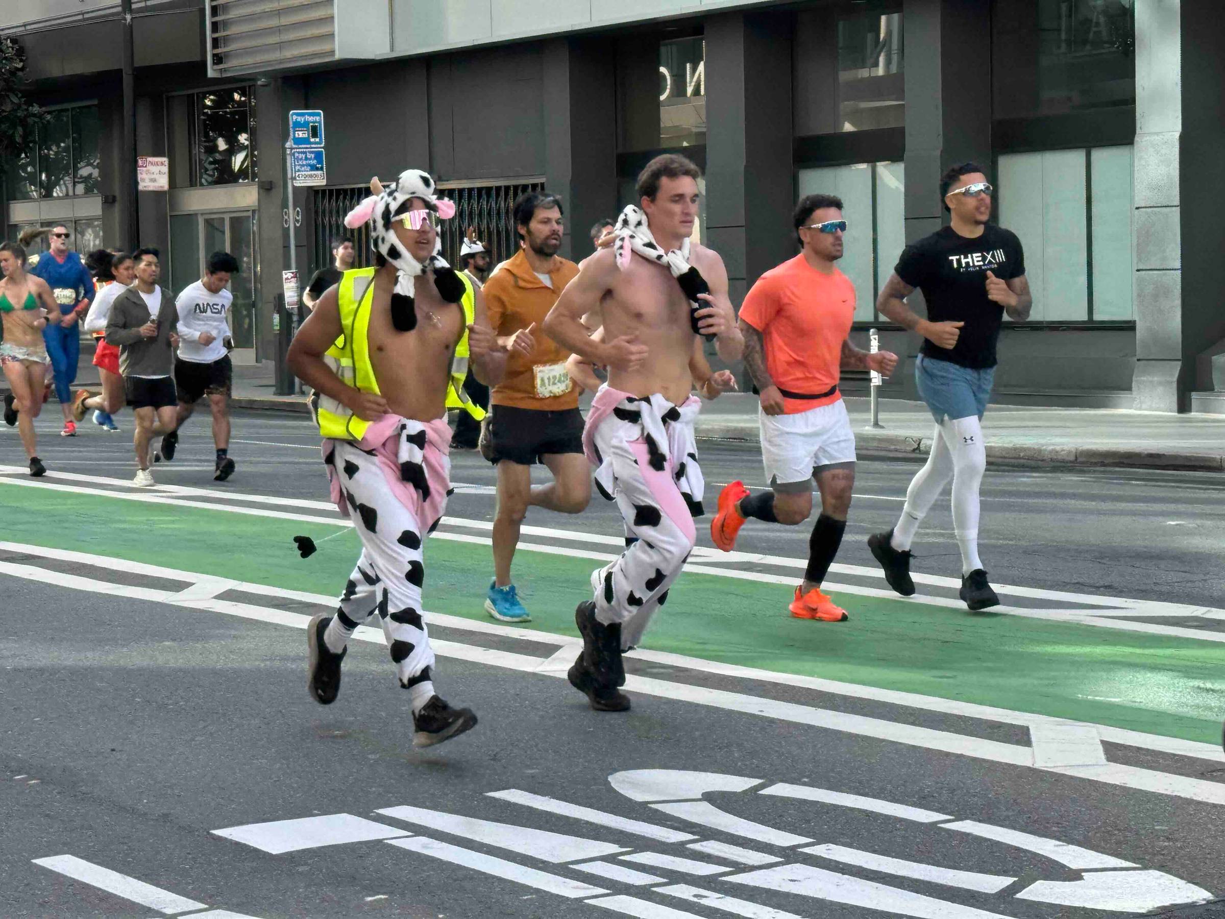 two people dressed as cows running