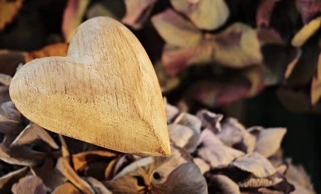 Heart, Wooden heart, Wood image.