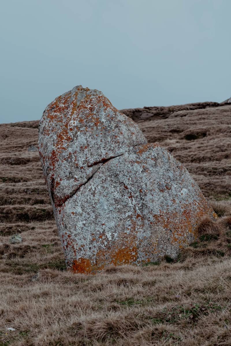 A large, lichen-covered rock in a field of dry grass.