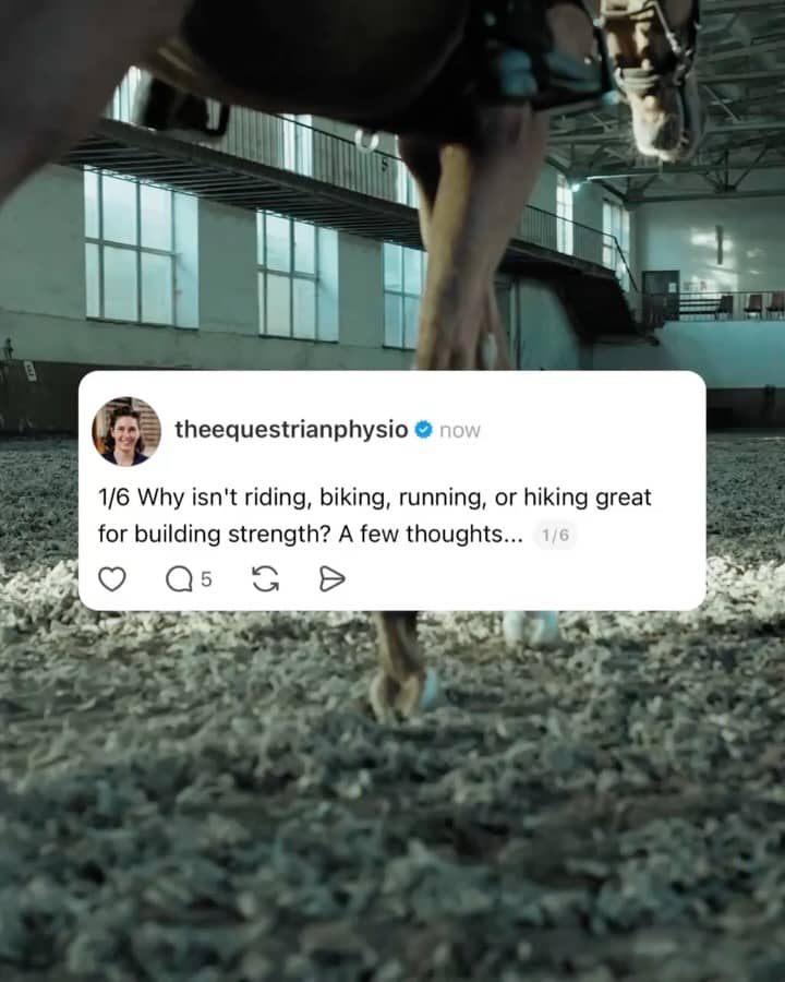 Why DOESN'T riding count as strength? You've probably heard me say it time and time again...

... your horse is not your gym. 
... riding, on its own, is not enough to make you fit to ride. 
... riding doesn't build strength. 

But what exactly is the reason? Because for most of us, the logic goes➡️ riding is hard ➡️ it makes my muscles sore ➡️it makes my legs burn, so it must be making me stronger. So why isn't that true?

What it comes down to has to do with limiting factors. As in, which of your bodies systems, whether it is muscle strength, mobility, cardiovascular output, power, motor planning or body awareness, or multiple of the above, is the LIMITING FACTOR of the exercise you are doing?

Unless you were a complete beginner, for the vast majority of us, exercise modalities like riding, or cycling, or rowing, or running, or martial arts, or soccer, etc.  are NOT limited by pure muscle strength. Most of them are probably limited by endurance, or maybe skill.

And when I say limited I mean, what is the thing that forces you to take a break? Your legs may burn, but that doesn't mean they are truly out of gas. They will give you more juice if you push through the discomfort. 

In order to drive our body to adapt, we need to take a particular system to the limits of what it's comfortable with. In strength training, that looks like taking individual muscle groups close to failure. And failure doesn't burn. Failure is just a lack of response. As in, you go to lift or push a weight, and you physically cannot do it anymore. That is muscular failure, and that is what drives strength and muscle adaptations.

Something feeling "hard" or even "burning" is not the same thing. Because if you push through that sensation, your muscle still has plenty of gas. It's just uncomfortable. But usually, it's your heart and lungs, or perhaps your skill, that is limiting your ability to continue more than your muscles ability to keep going.

If you are starting out and a complete beginner, then perhaps strength may be your limiting factor. But for those of us who have been in the game for a while, muscular strength is not what we are capping out.