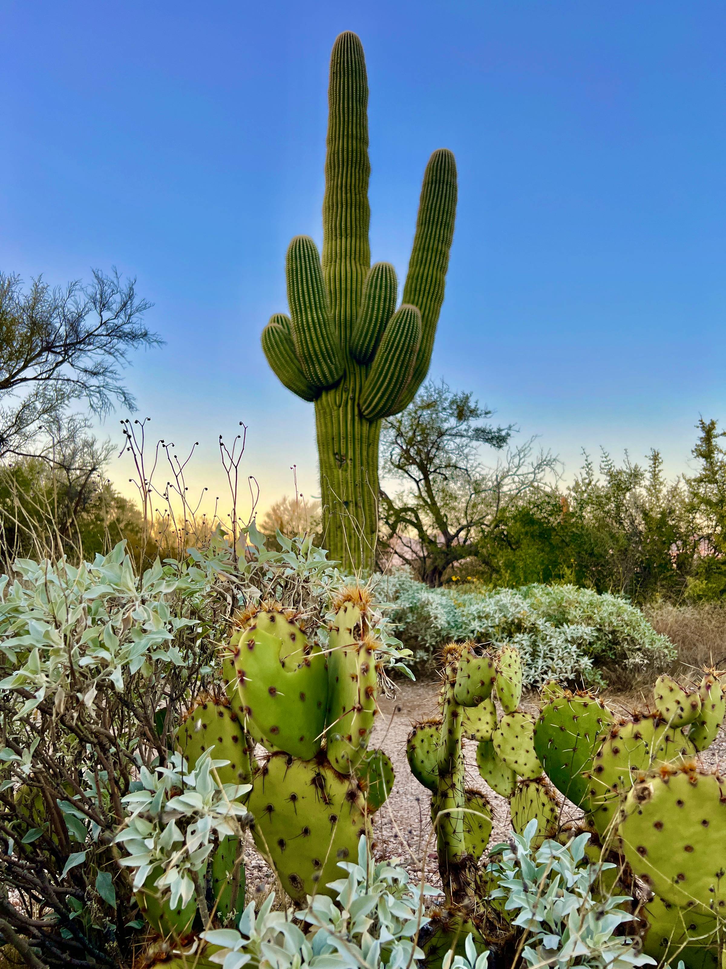 Arizona National Parks Itinerary 