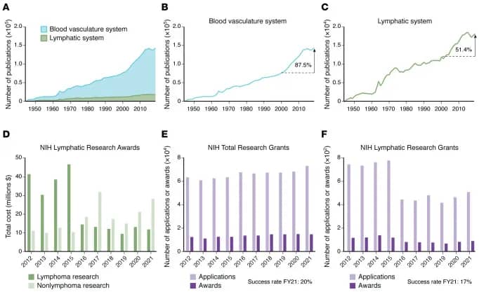 Chronic water retention as a longevity signal? 