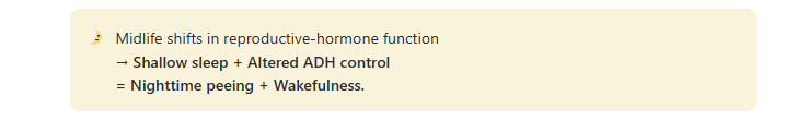 Waking Up To Pee. Midlife shifts in reproductive-hormone function
→ Shallow sleep + Altered ADH control
= Nighttime peeing + Wakefulness.