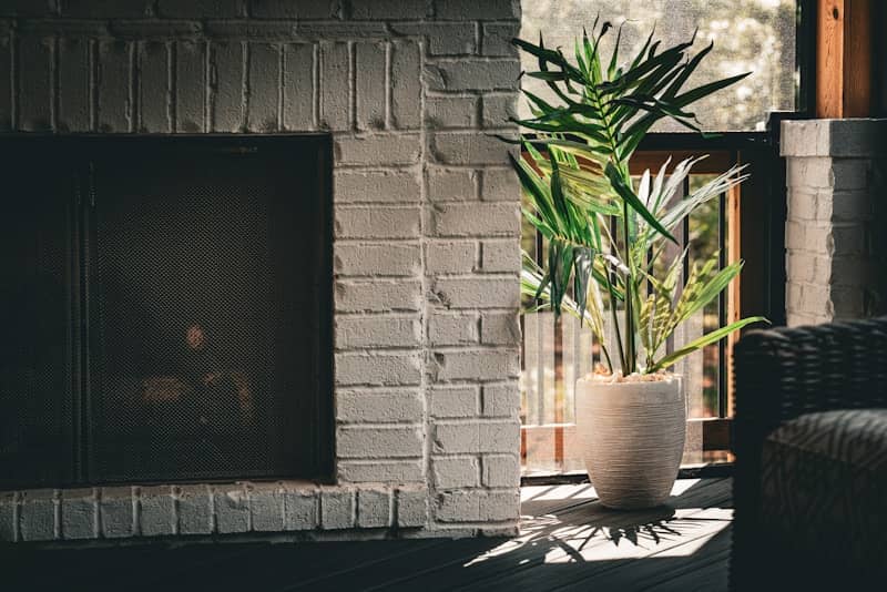 A living room with a couch, chair and a potted plant