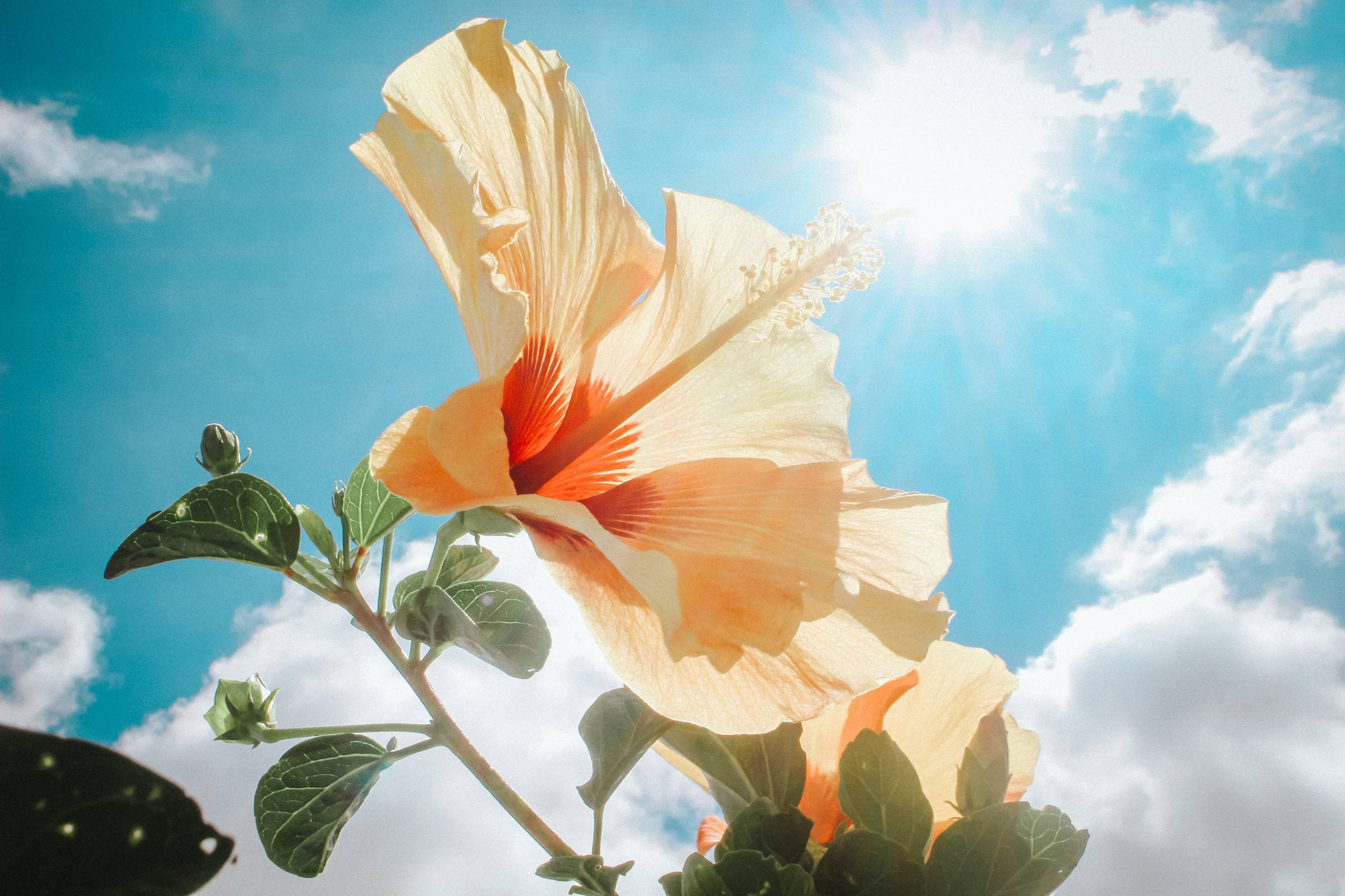 Say Goodbye to Chronic Inflammation with These Everyday Techniques, Studies have shown that vitamin D deficiency is associated with increased inflammation markers and a higher risk of chronic inflammatory conditions.