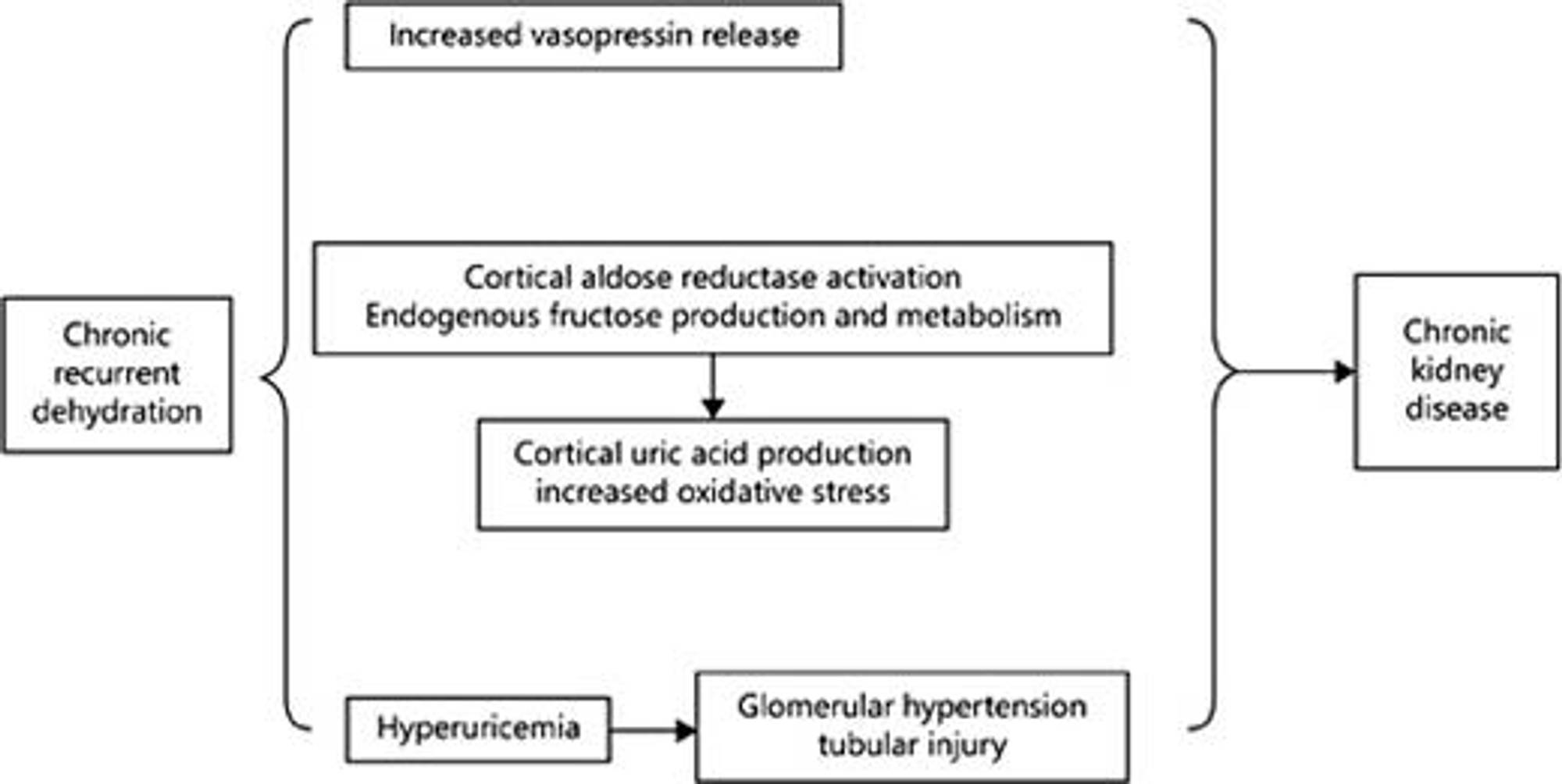      Recognizing and Preventing the Silent Decline of Kidney Function