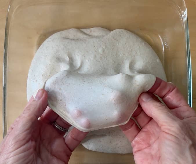 performing the windowpane procedure on some dough