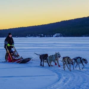 Dogsledding