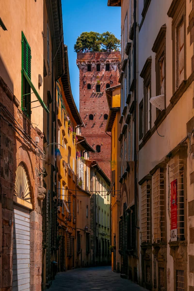 Narrow alleyway leads to a unique brick tower.