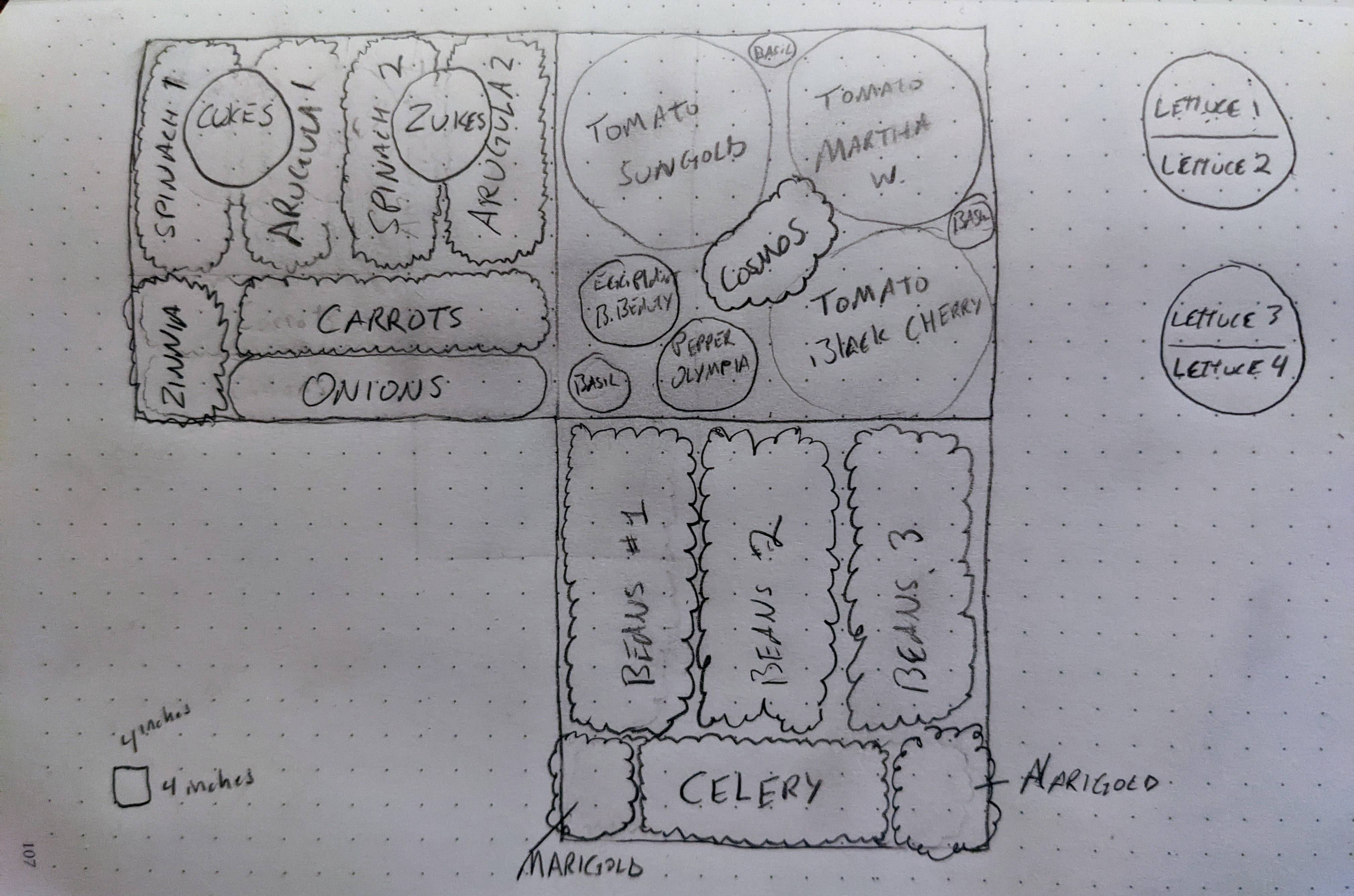 Sketch of a garden plan