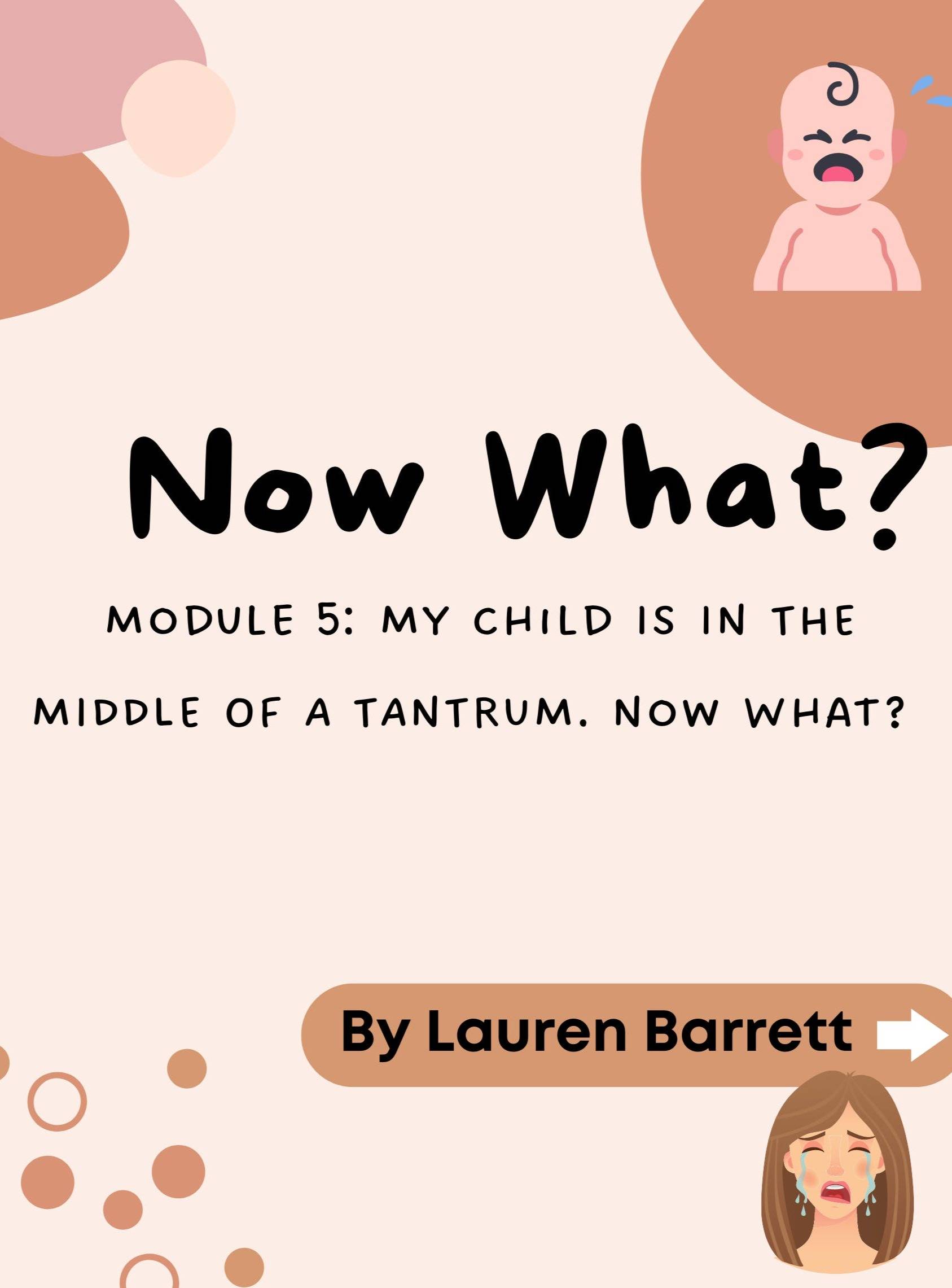 Learn 10+ Strategies For What to Do During a Tantrum