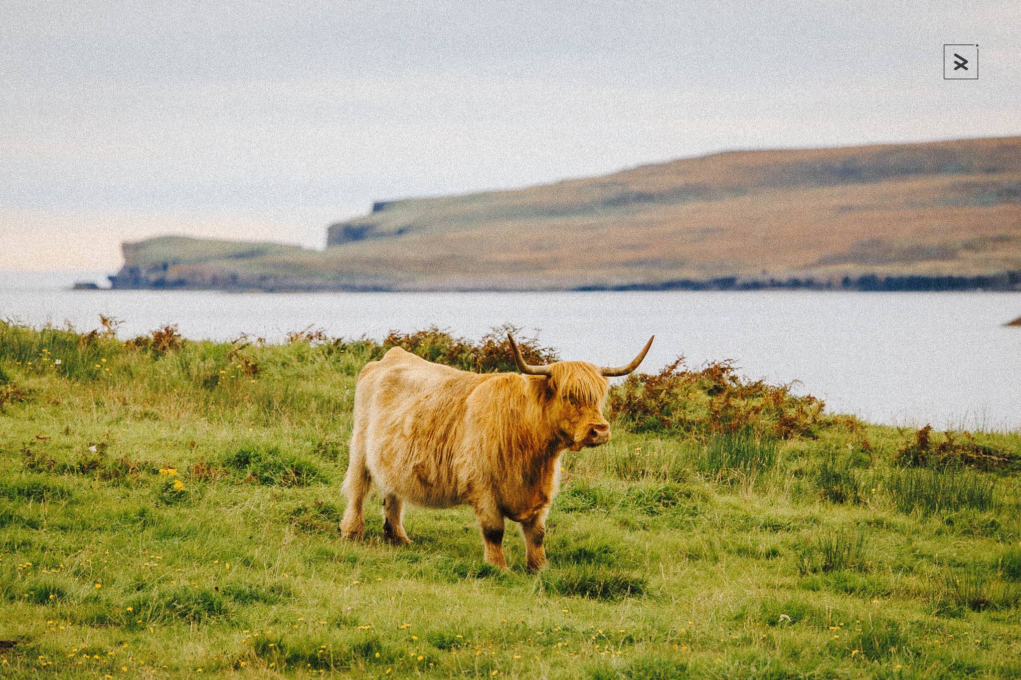 A practical guide to building a walk-around camera setup that stays light, simple, and ready for everyday photography.