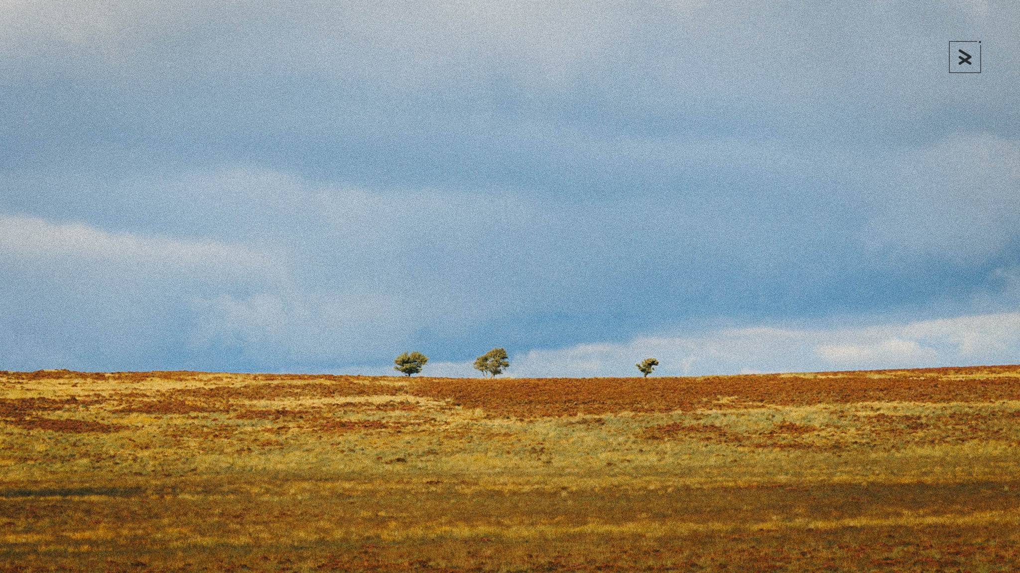 Stop filtering your creativity before it starts. The separation between making and curating is the habit that changes everything. 