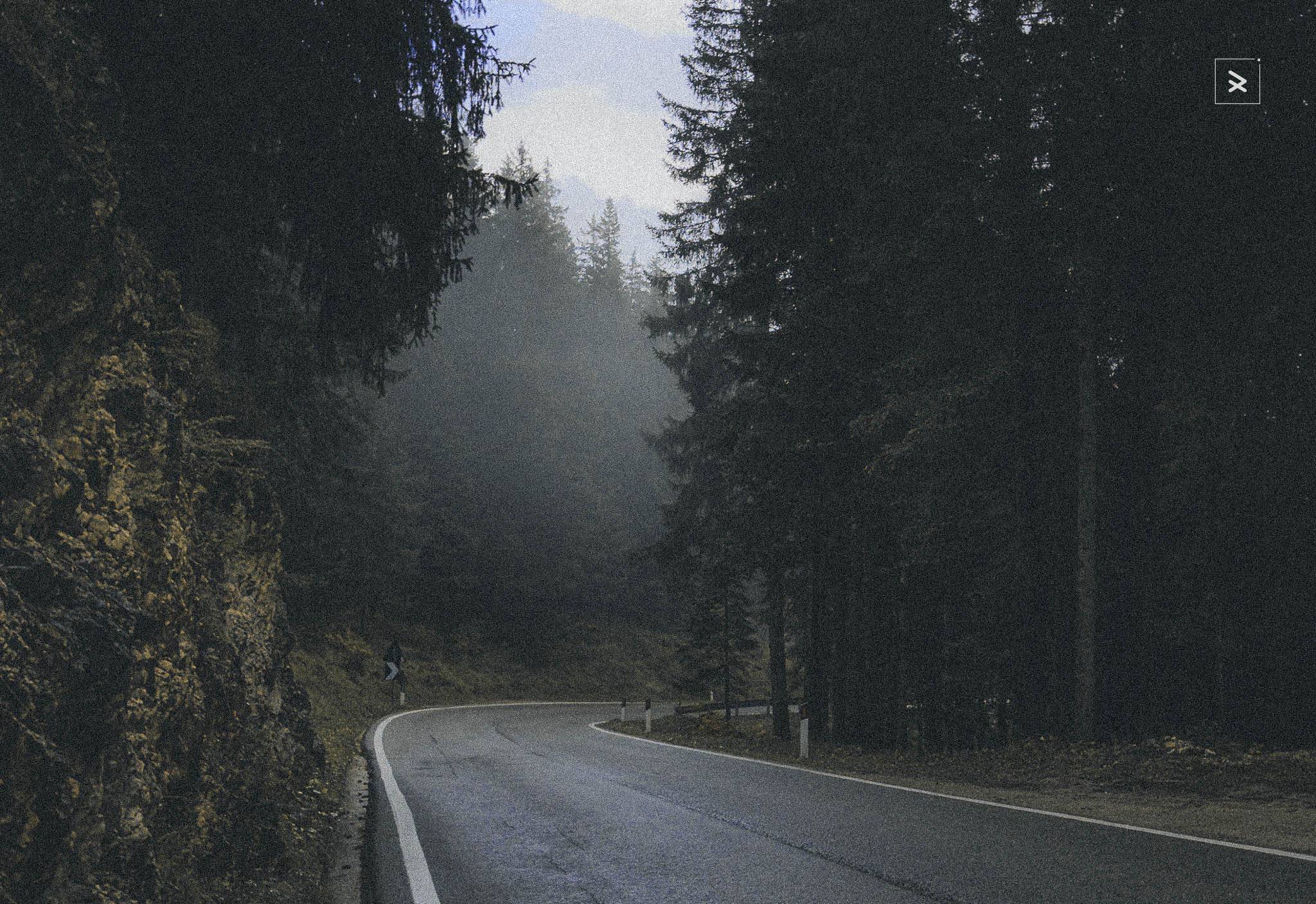 Black Friday camera gear worth buying: tested bodies, lenses, bags, accessories. Real discounts on equipment that works in actual conditions.