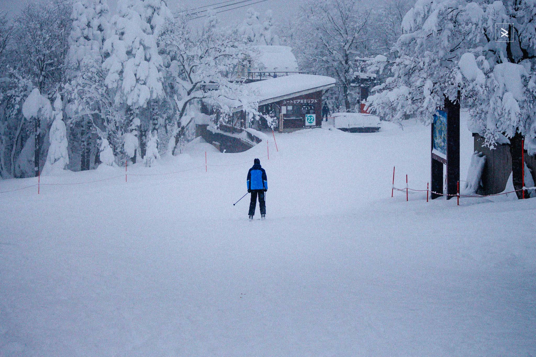 Lightroom Colour Variance Slider unifies messy colours fast. How it works, when to use it, and why it actually saves editing time.