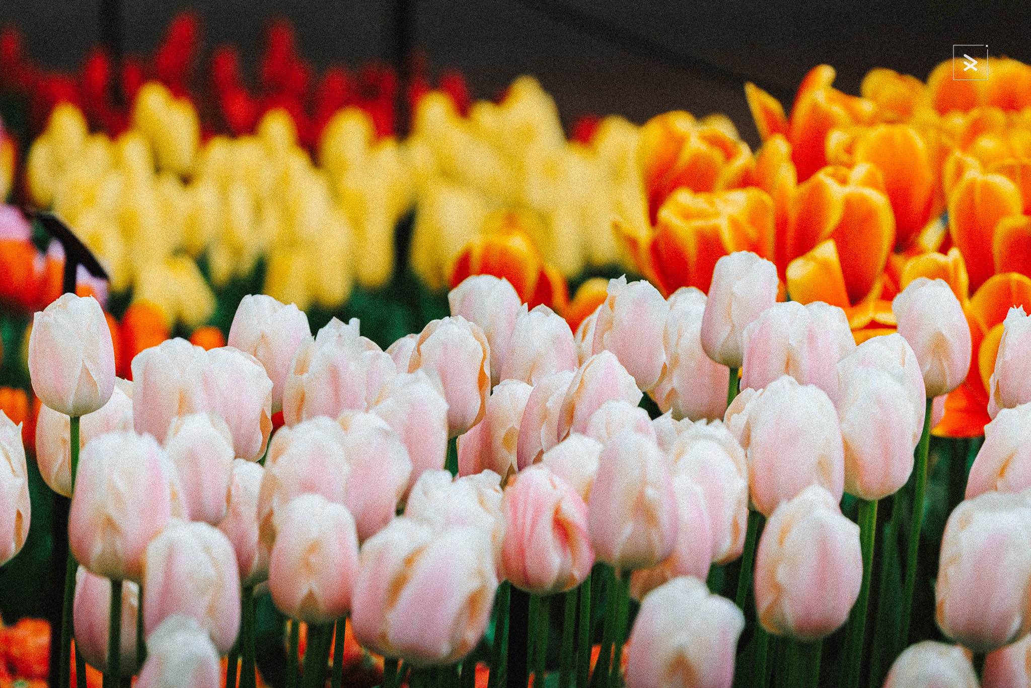 The camera captures. The algorithm decides. And somewhere in that gap, your craft either matters or it doesn't.