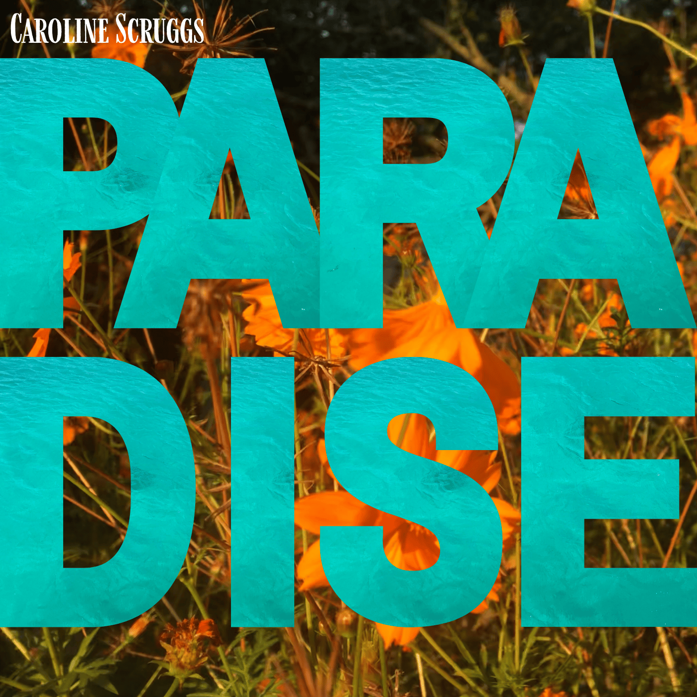Paradise Song Download