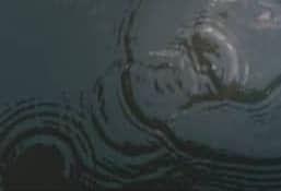 A reflection of a person in a body of water