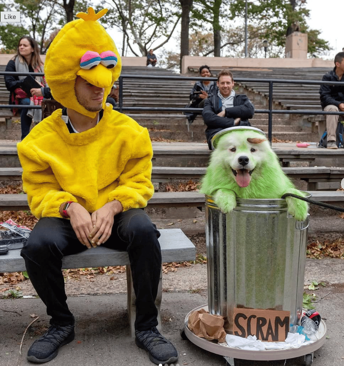 thumbnail placeholder