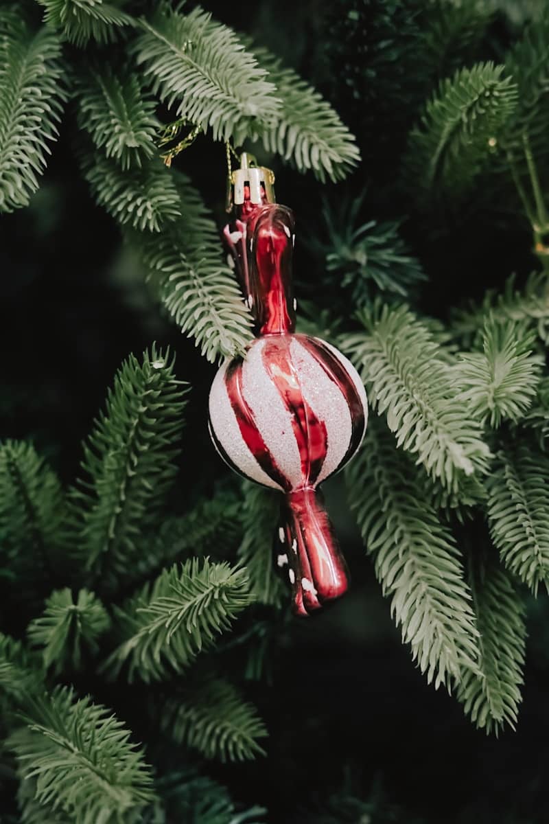 A festive candy cane ornament hangs on a christmas tree.