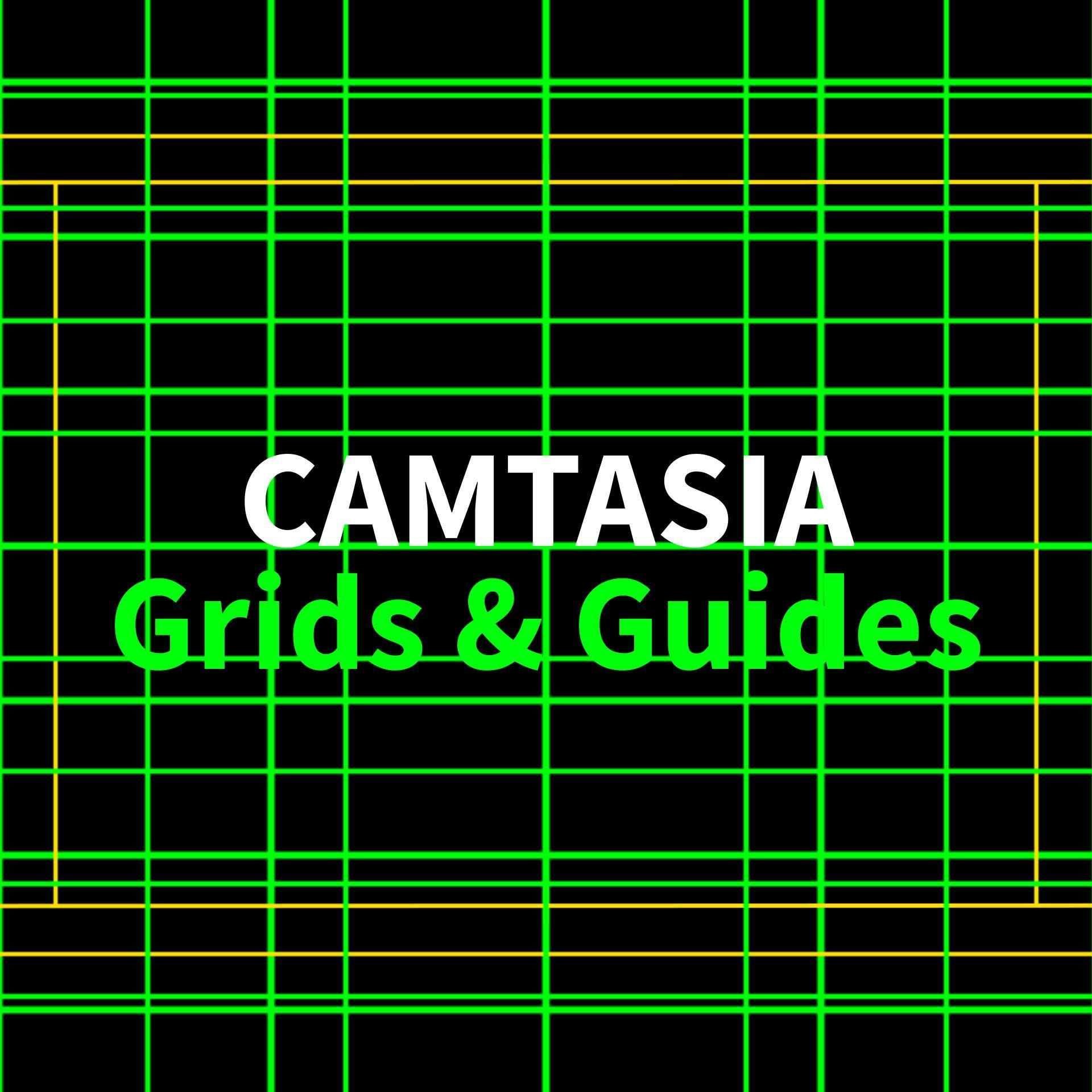 Camtasia Grids and Guides