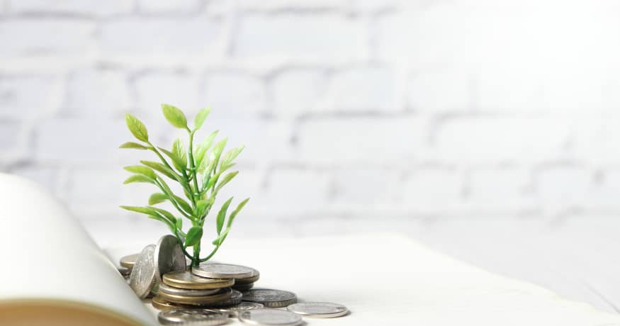hr green plant money coming out of book