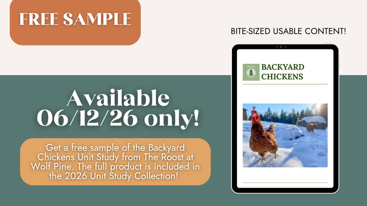 free sample chicken unit study