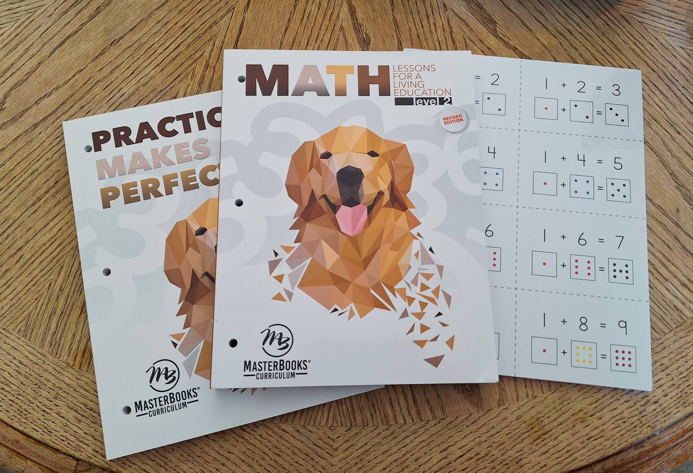 master books math lessons for a living education level 2 grade 2 workbook practice book flash cards for addition and subtraction