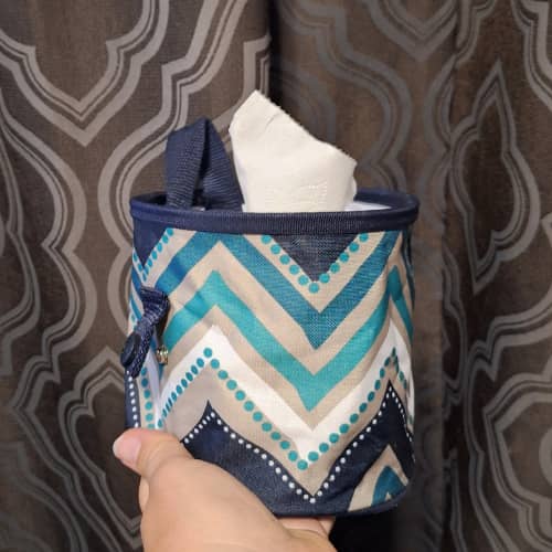 frugal facial tissue