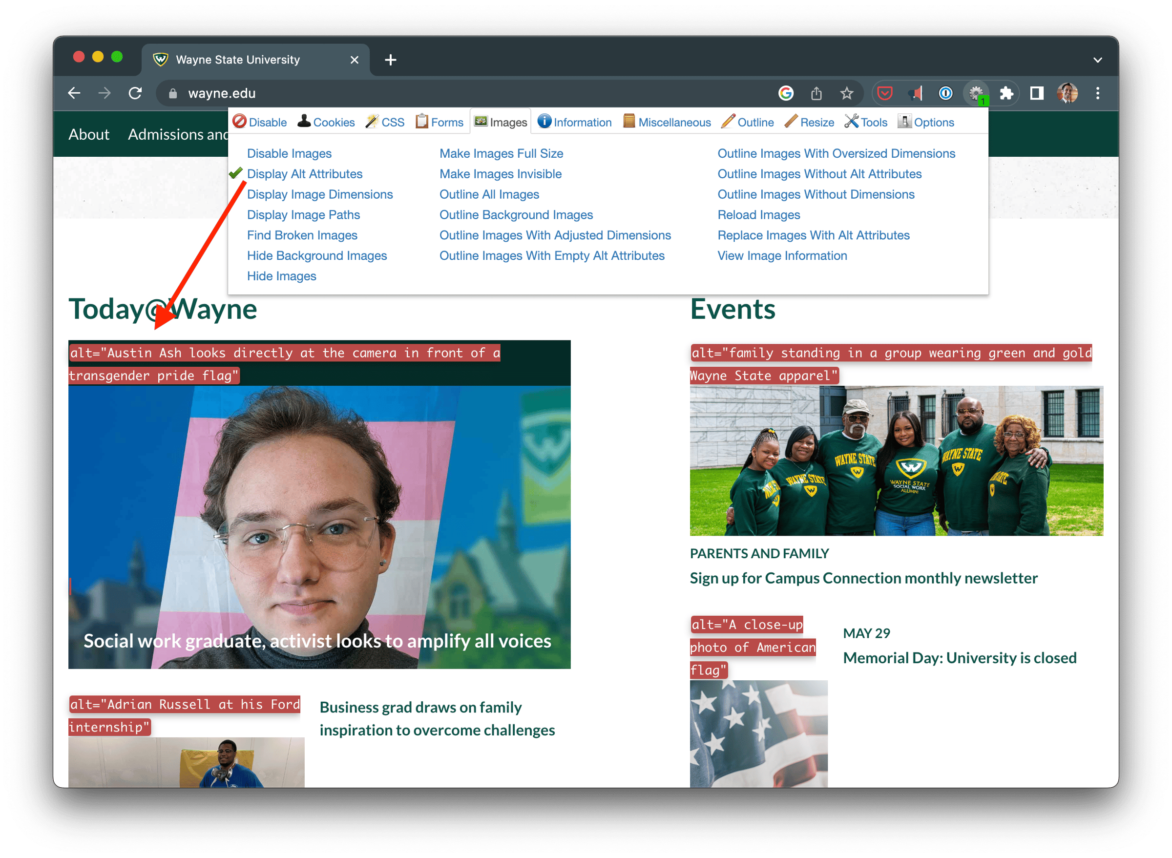 Screenshot of Chrome with the Web Developer exttension installed with the display alt attribute optione turned on with an arrow showing the alt text displayed on an image