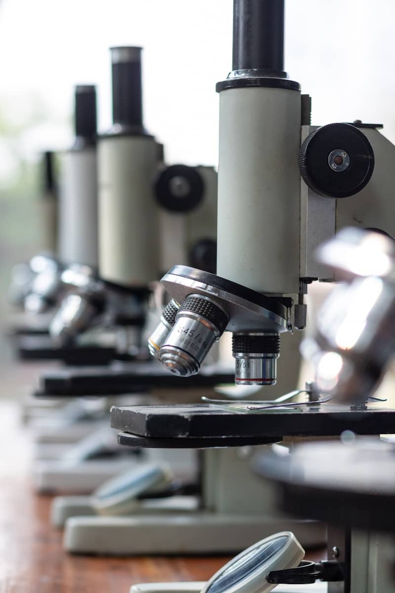 Microscopes lined up, ready for science.