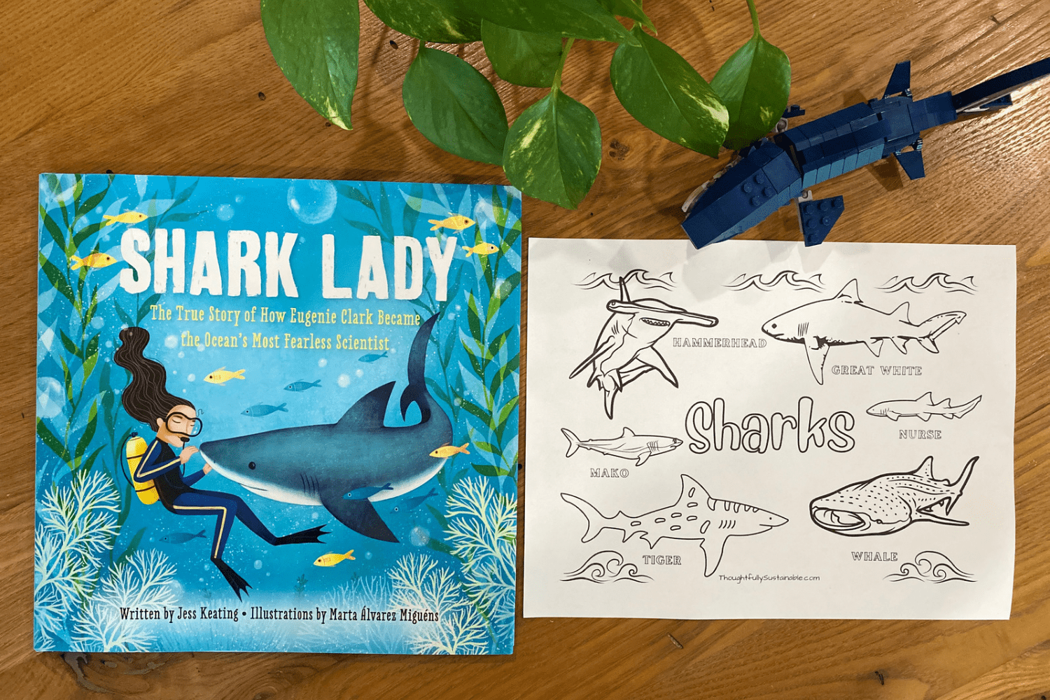 “Shark Lady” by Jess Keating sits on a wooden table alongside a shark coloring page. 