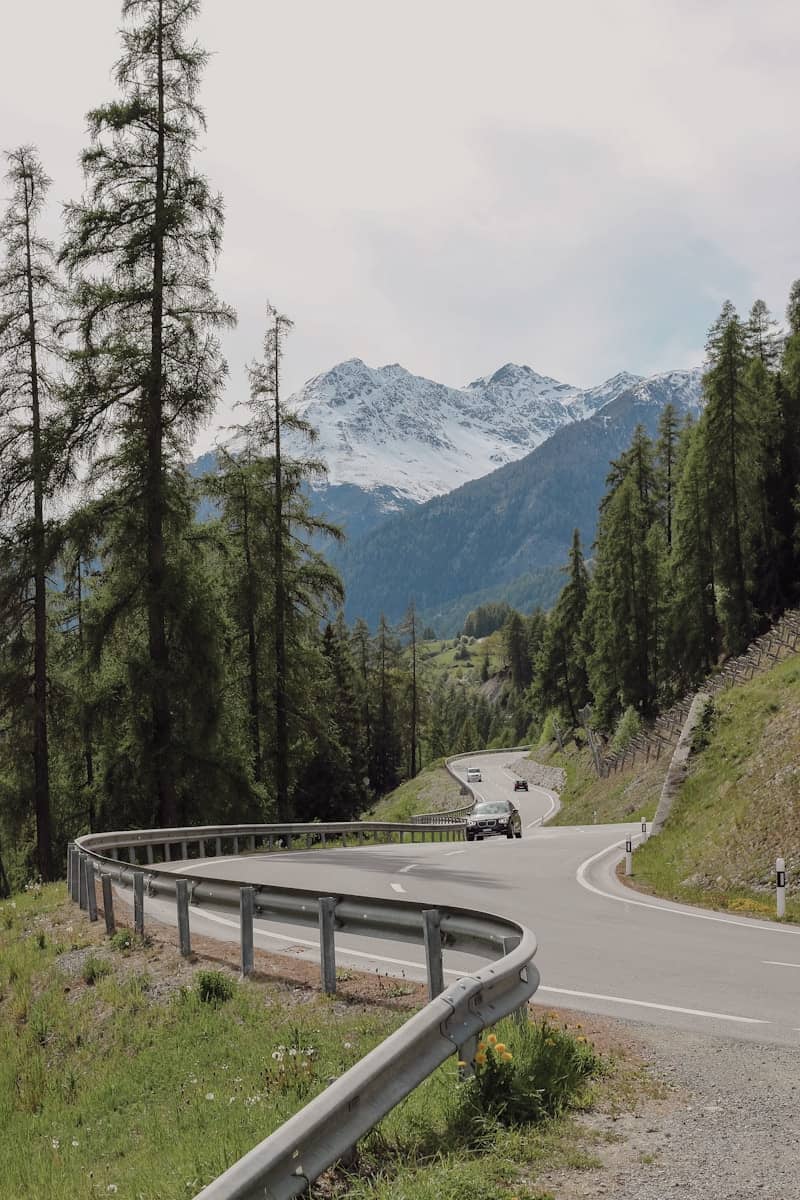 Winding road through a forest with distant snow-covered mountains.