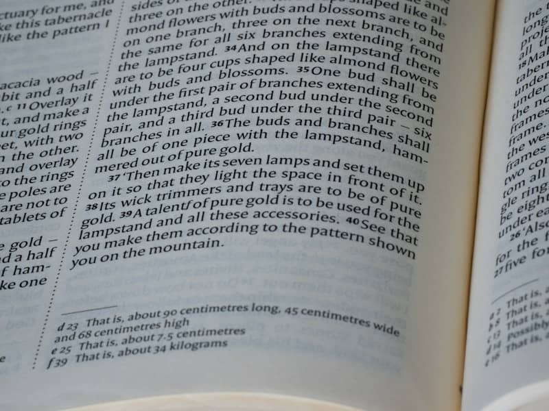 Close-up of text in an open book