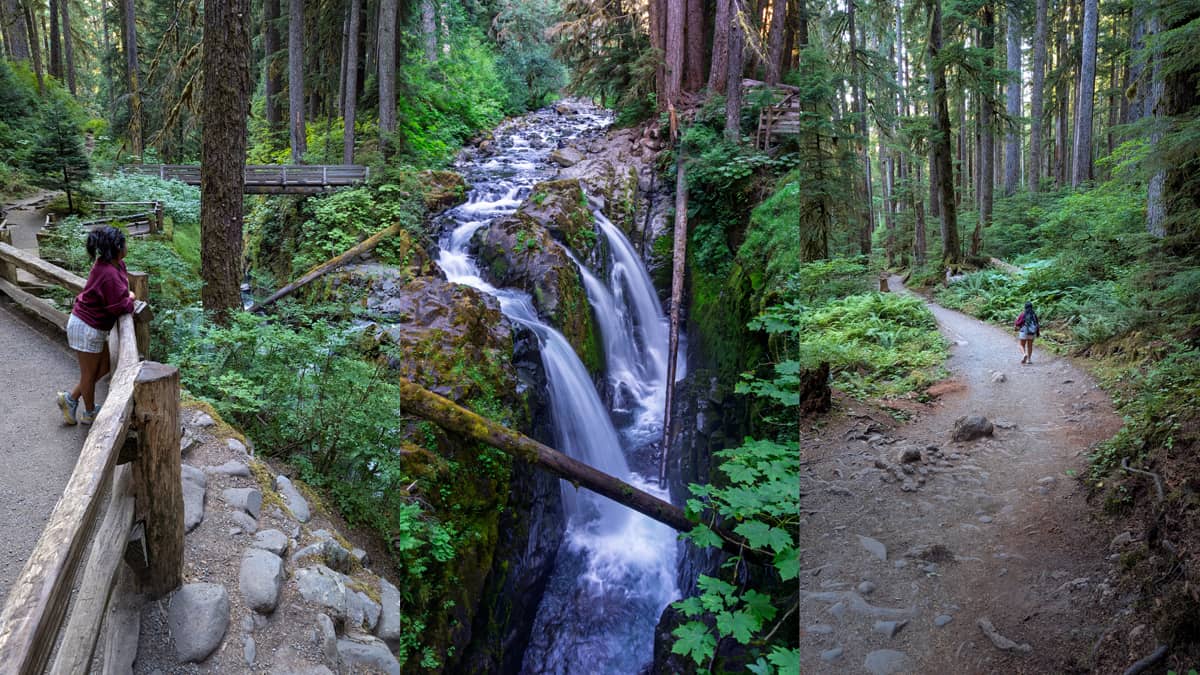 A panoramic collage of Sol Duc Falls in Olympic National Park. The left panel shows a paved hiking trail with a rustic wooden railing. A person with dark, curly hair, wearing a maroon top and white shorts, stands by the railing, looking into the dense for