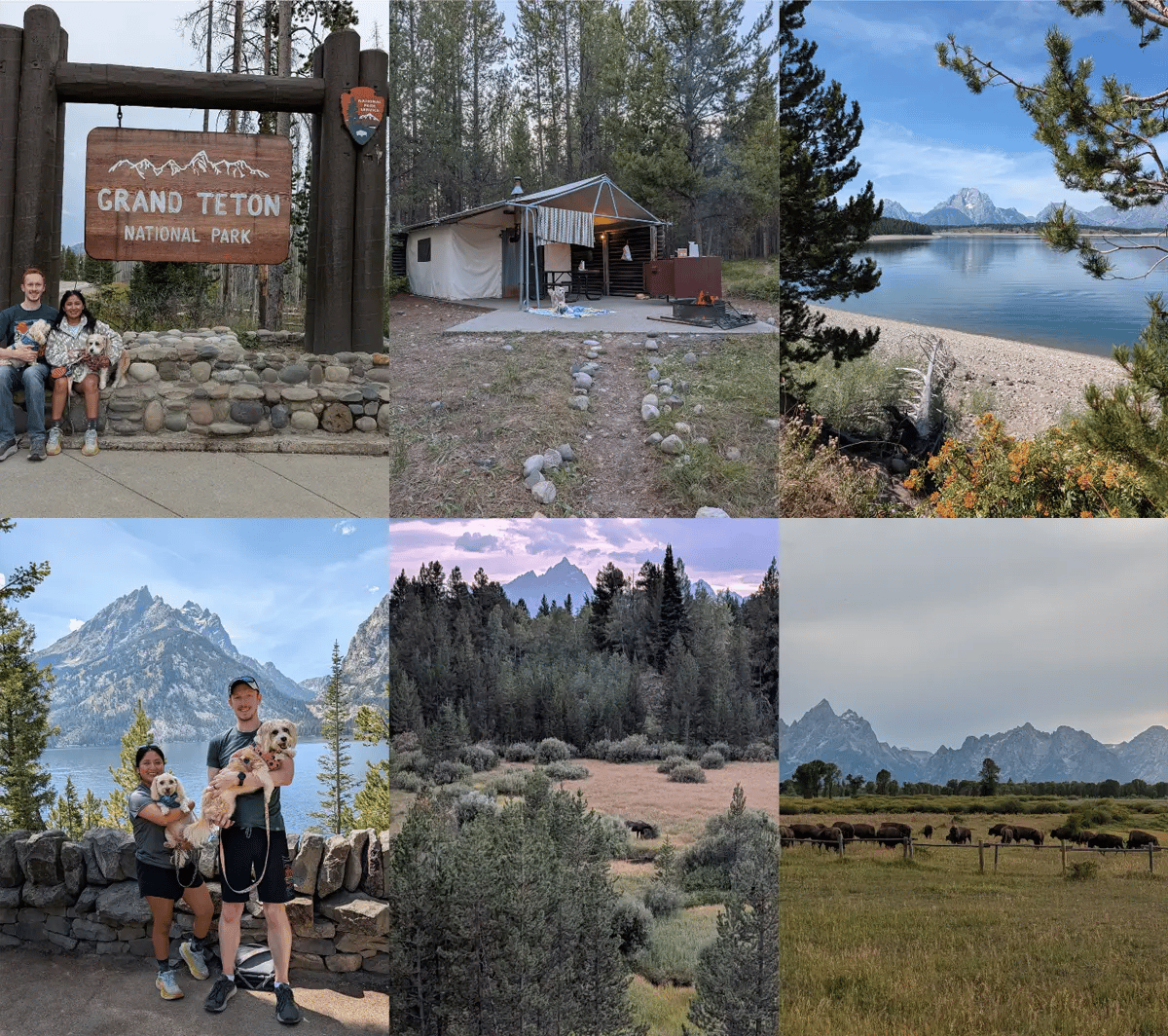 A six-photo collage from Grand Teton National Park featuring the Teton Range, Colter Bay campsite, wildlife, and the couple's two dogs.