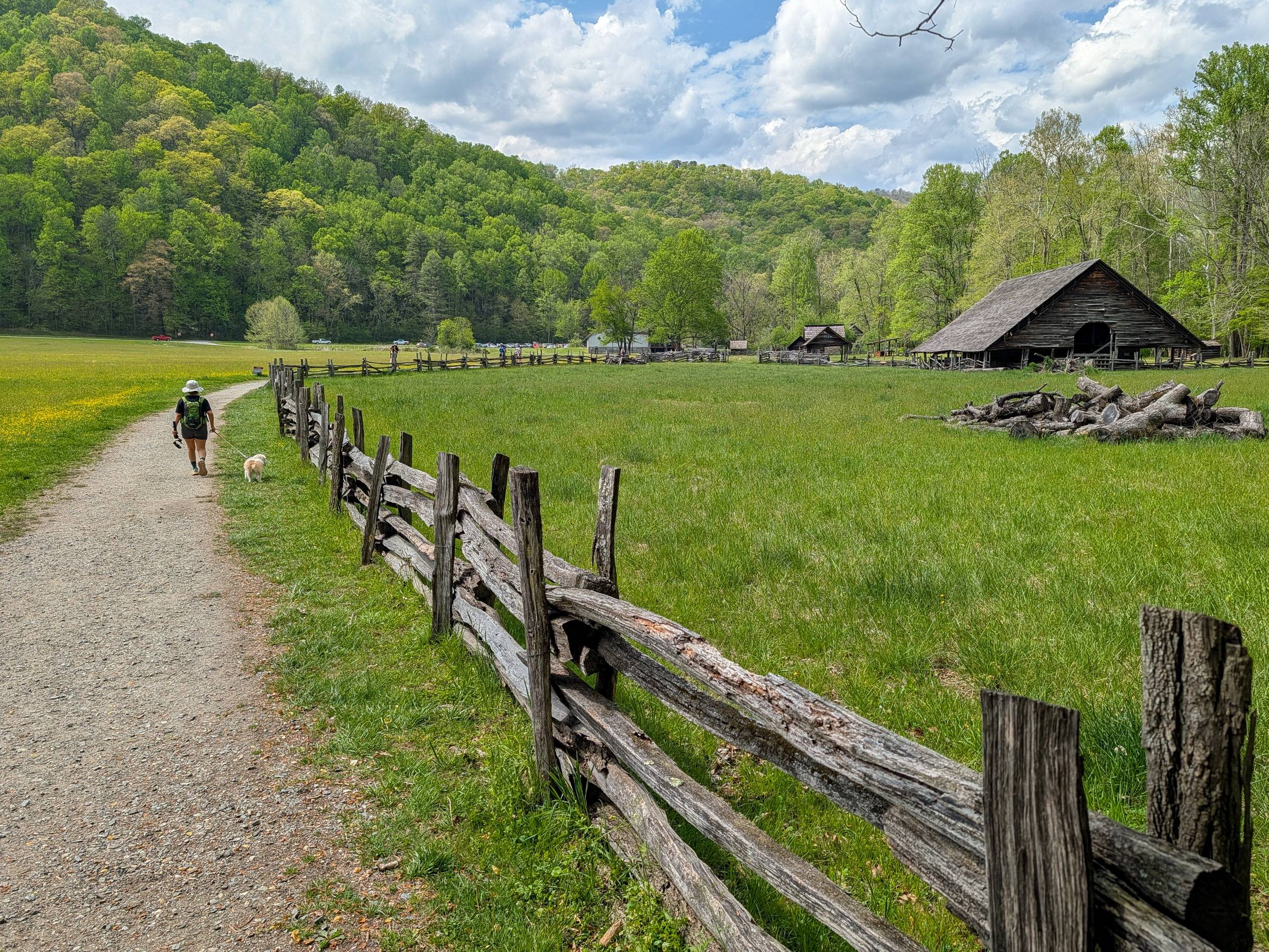 A person hiking with a dog on a gravel path next to a rustic split-rail fence, with the historic wooden buildings of the Mountain Farm Museum in a green meadow.