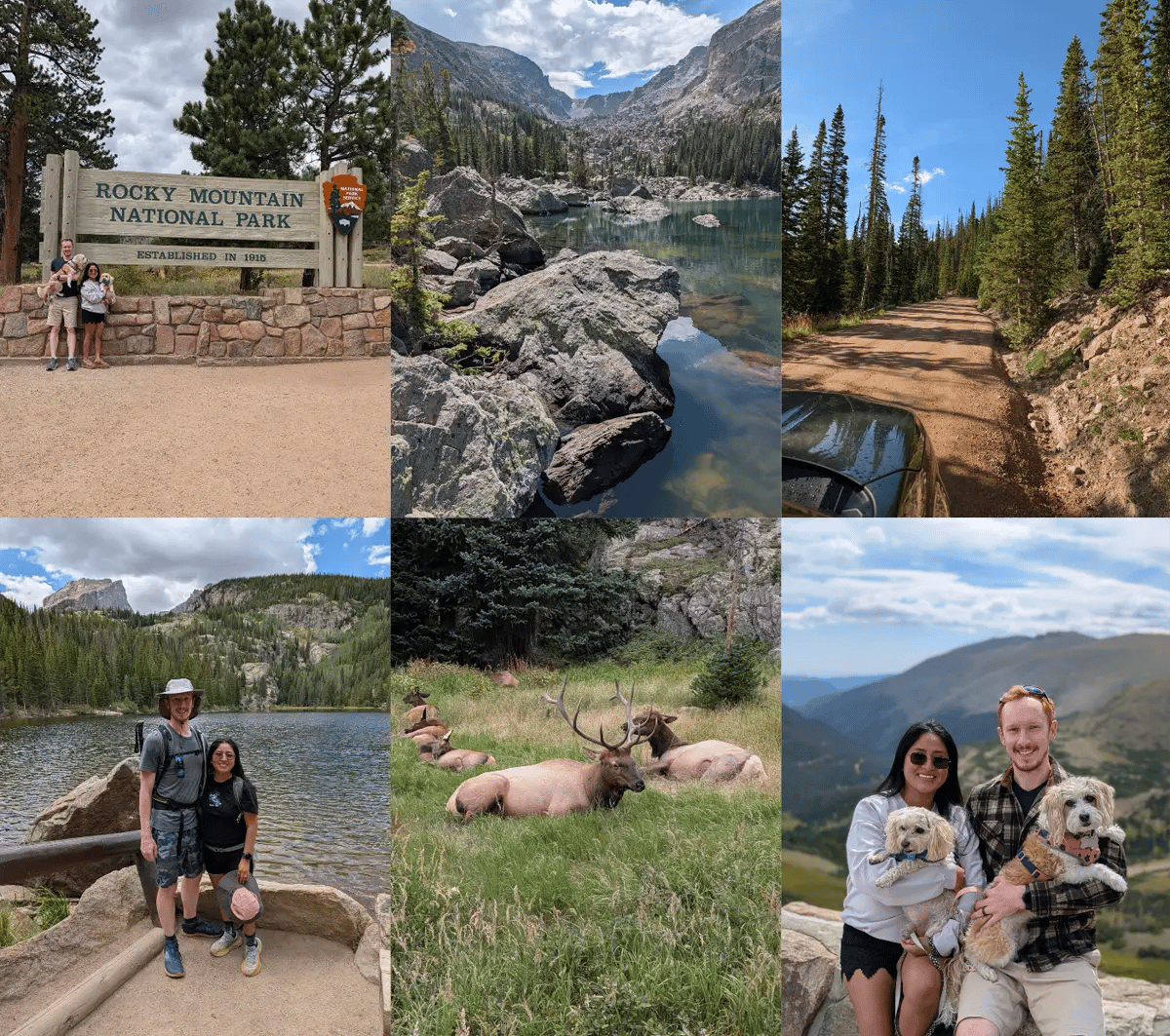 A six-photo collage from Rocky Mountain National Park featuring alpine lakes, mountain scenery, elk, and the couple's two dogs.