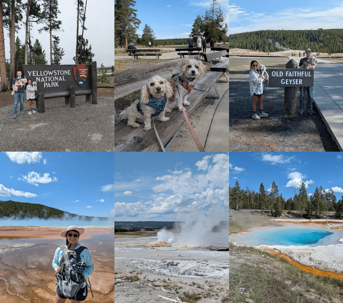 A six-photo collage from Yellowstone National Park featuring Old Faithful, Grand Prismatic Spring, other geothermal features, and the couple's two dogs.