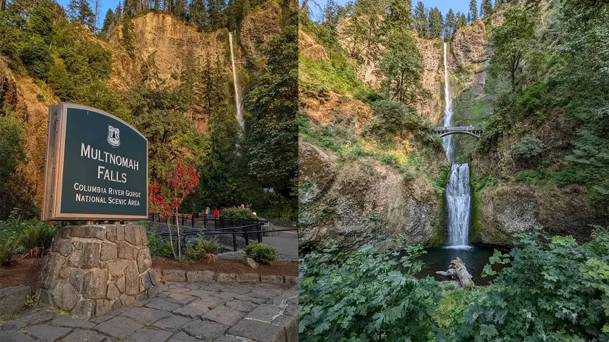 A two-part image showing the Multnomah Falls entrance sign on the left and the full two-tiered waterfall with its iconic footbridge on the right.