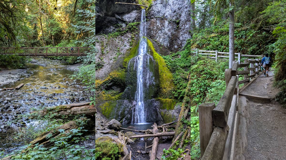A panoramic collage of Marymere Falls in Olympic National Park. The left panel shows a reddish-brown footbridge spanning a shallow, rocky stream, surrounded by lush green trees and foliage. The center panel features the tall, narrow Marymere Falls cascading down a moss-covered rock face into a small pool, with fallen logs and debris at its base. The right panel displays a dirt hiking trail with a rustic wooden fence on the right, winding through dense green forest. A person with a backpack is visible walking away from the viewer on the trail.