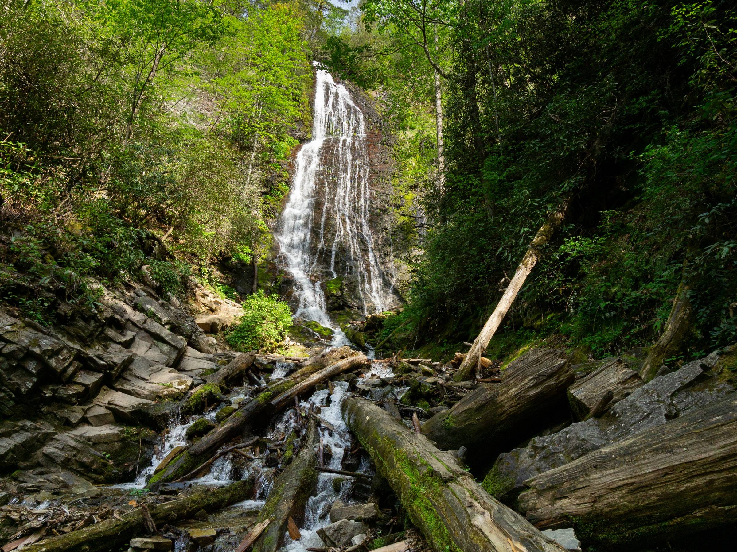 A scenic, tall waterfall cascading down a rocky mountainside into a stream filled with moss-covered logs and stones, surrounded by lush green trees.