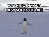 Penguin waddling