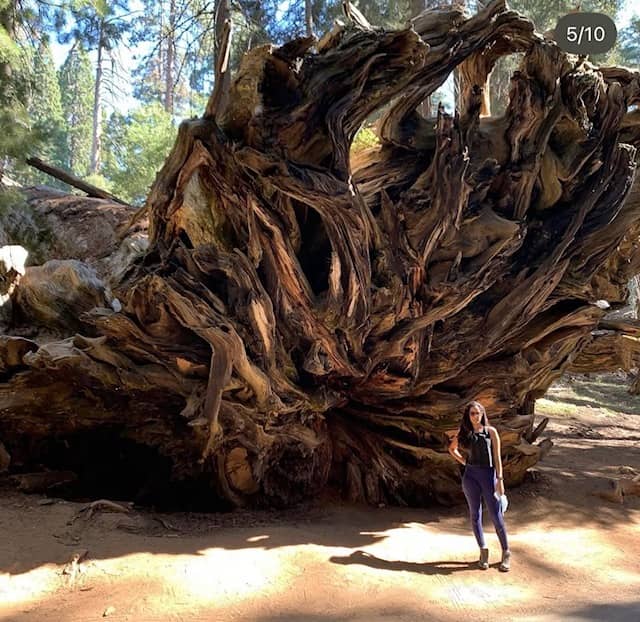 Elida Abreu, RN, BSN, standing in front of massive, tangled tree roots along a forest trail during a hike.