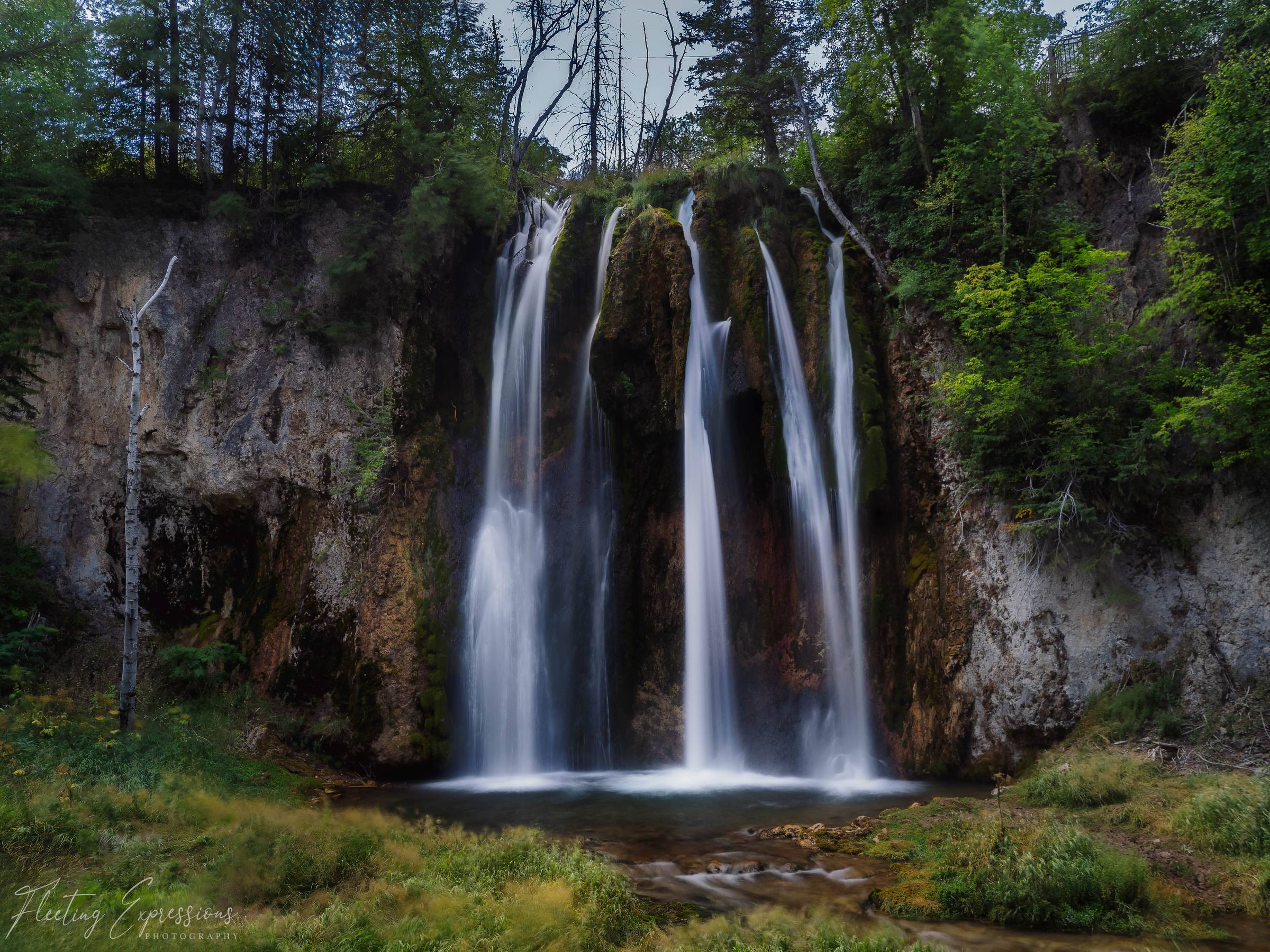 Multiple thin waterfalls cascading down a mossy rock cliff into a pool surrounded by green grass and trees at Spearfish Falls.
