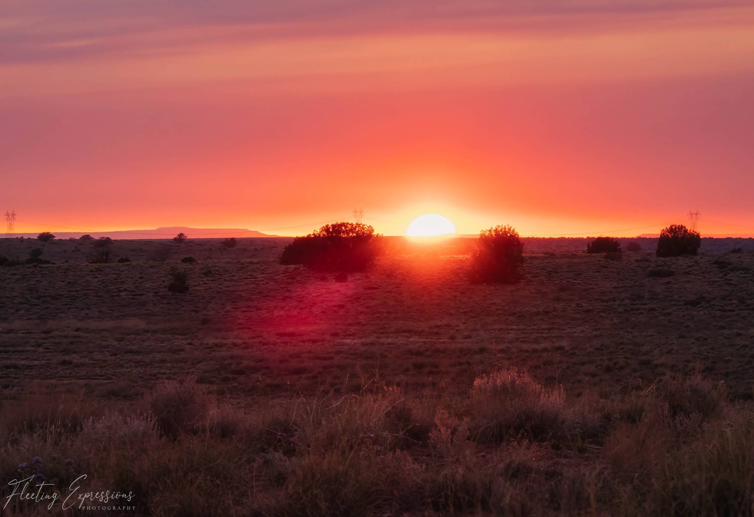 A brilliant crimson and violet sunset drops behind silhouetted desert shrubs on the high plains outside Holbrook, Arizona.