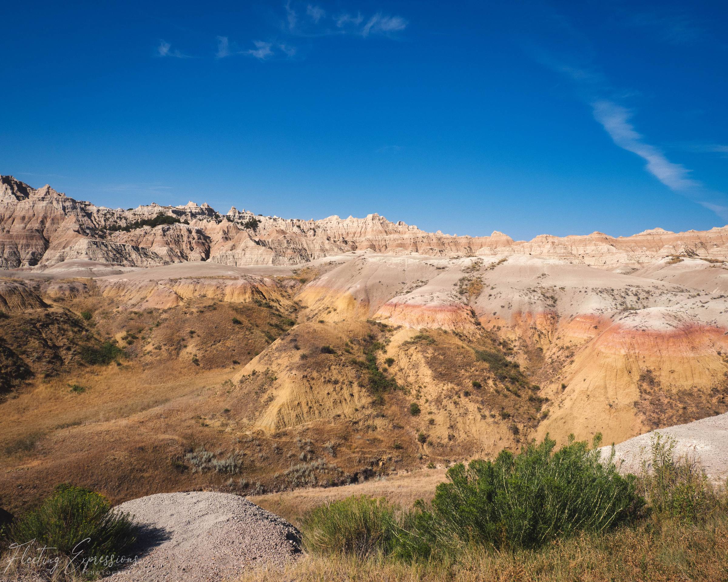 Yellow and rust striped badlands hills under a clear blue sky, with green sagebrush in the foreground.
