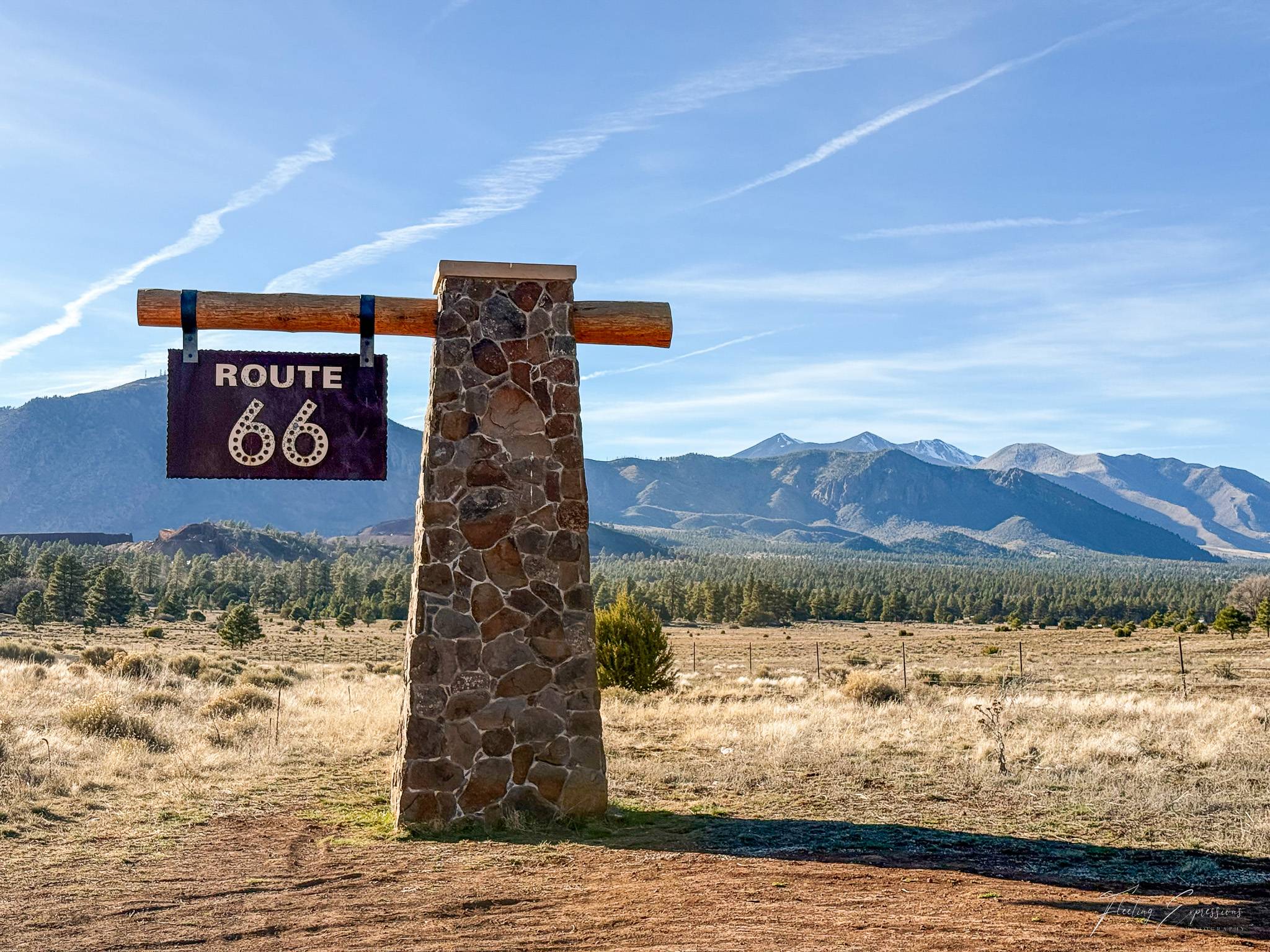 Rustic Route 66 sign standing in front of open grassland, pine trees, and mountain peaks near Flagstaff.
