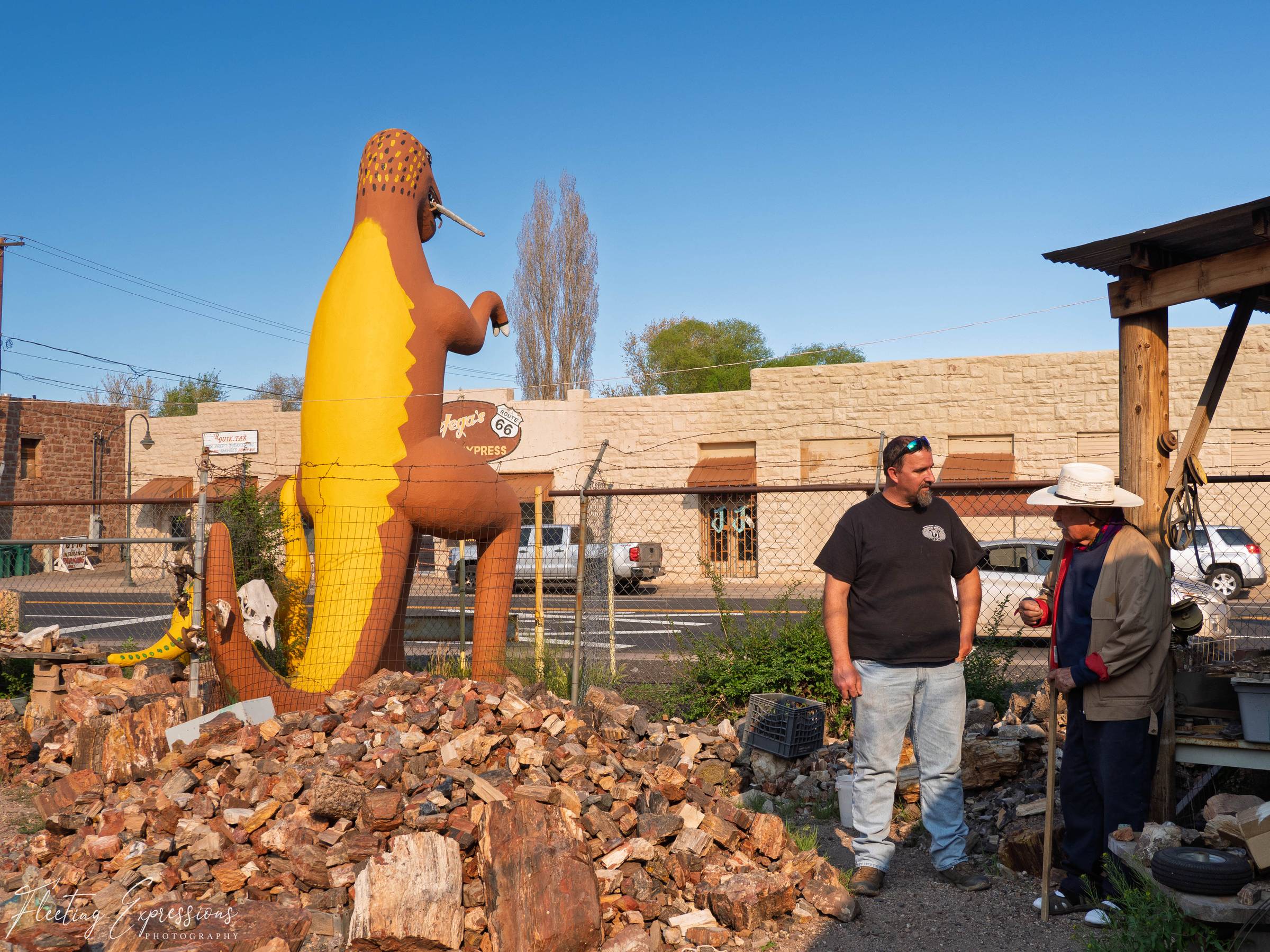 The elderly owner of Rainbow Rock Shop in Holbrook, Arizona leans on his cane in conversation beside a pile of petrified wood with a colorful dinosaur sculpture standing guard nearby.