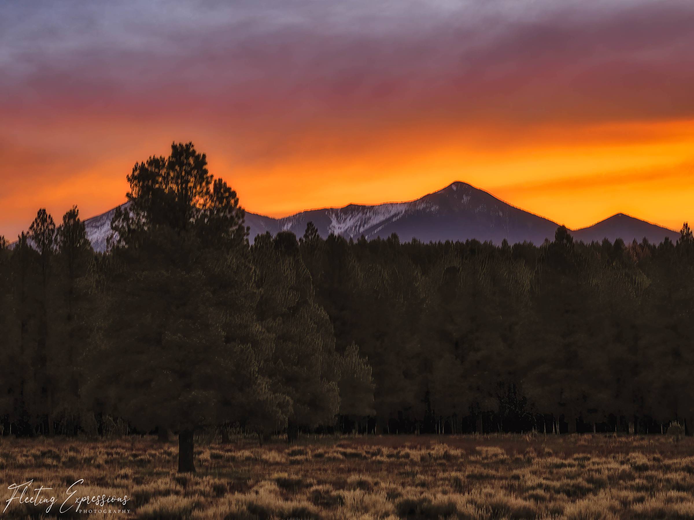 Sunrise over the mountains near Flagstaff, with pine trees in the foreground and a glowing orange sky above the peaks.